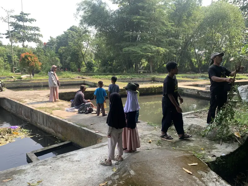 Mengamati kehidupan di tepi kolam
